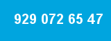 929 072 65 47